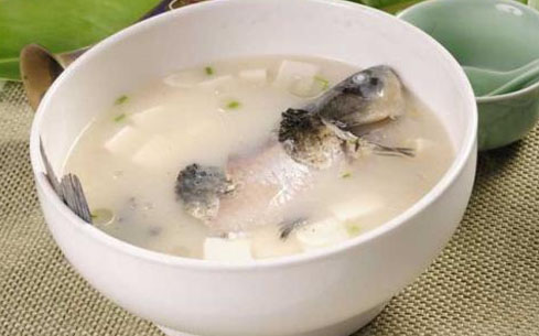 鯽魚頭豆腐湯