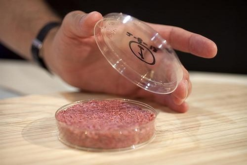 “人造肉”熱潮，未來(lái)將替代60%肉制品？