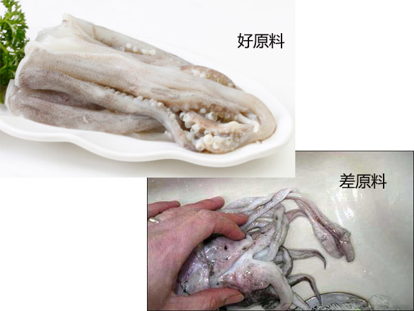 魷魚(yú)原料對(duì)比圖