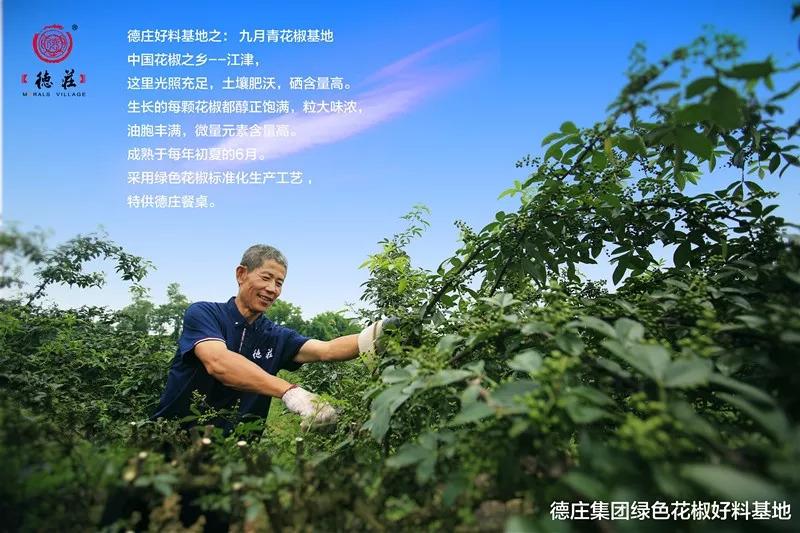 食品安全問題頻發(fā)，這家火鍋餐企憑啥突出重圍？